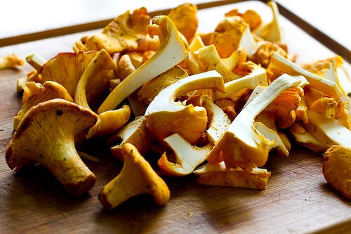 chanterelle-bacon-blue-cheese-plum-salad-34 chanterelle-bacon-blue-cheese-plum-salad-34